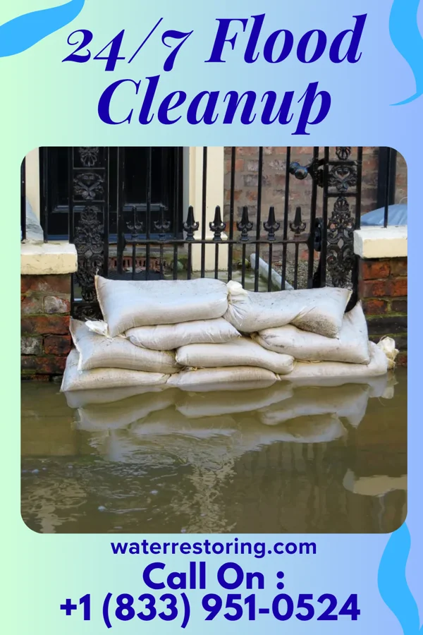 24/7 Flood Cleanup in Glenwood, MN