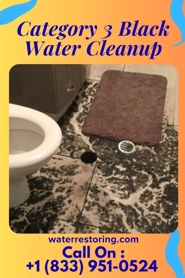 Category 3 Black Water Cleanup in Glenwood, MN