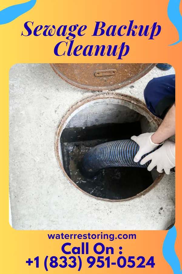 Sewage Backup Cleanup in Glenwood, MN
